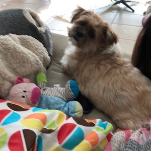 Meet your Posher, Veronica